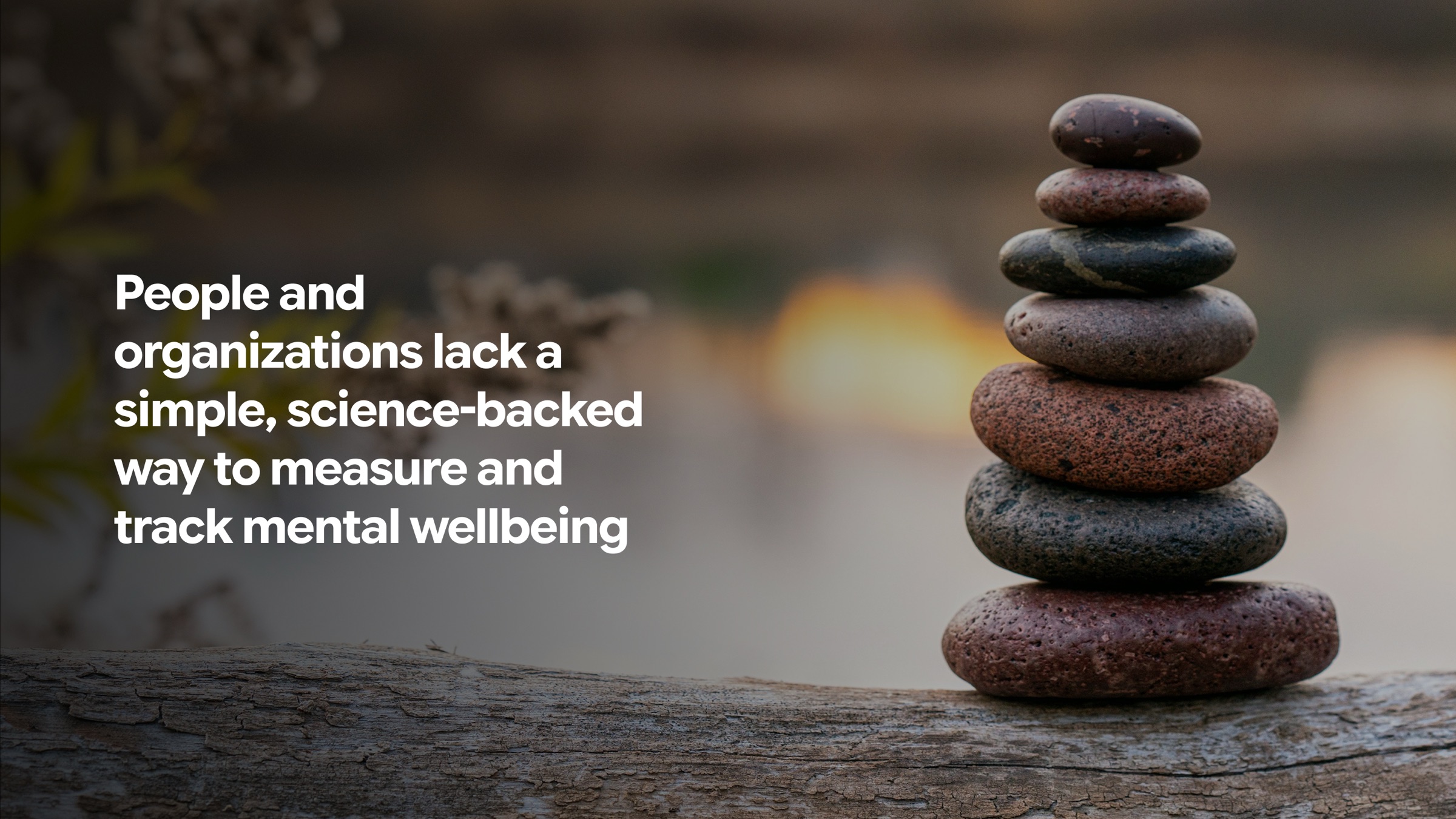 People and organizations lack a simple way to measure mental wellbeing